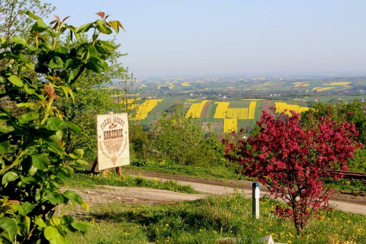 Bauernhof Farma Korzenie